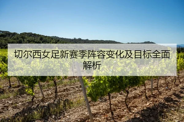 切尔西女足新赛季阵容变化及目标全面解析